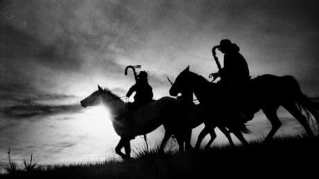 Premier prix international La Cense de la photographie de cheval