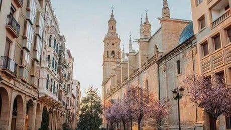Small city that's Spain's 'most underrated' has the 'best tapas in Europe'