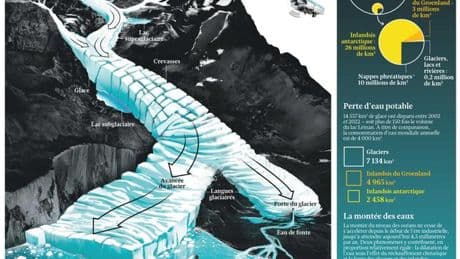 Les glaciers, une espèce en voie de disparition ?