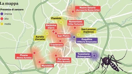 West Nile Roma, in quali zone ci sono più zanzare? Salario, Trastevere, Esquilino: la mappa dei quartieri più a rischio