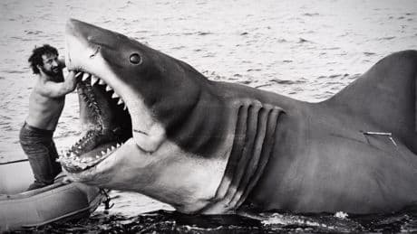 Jaws @ 50 is a frustrating watch