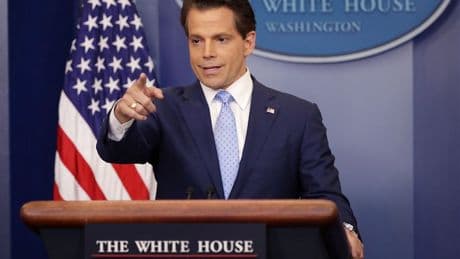 Anthony Scaramucci claims Elon Musk thinks ‘Trump is an idiot’