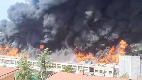 Italien: Universität steht in Flammen – komplettes Stockwerk stürzt ein