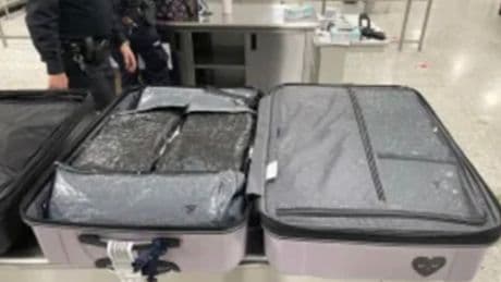 Las Vegas woman busted trying to smuggle 59 pounds of marijuana out of the country, authorities say