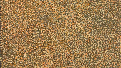 Emily Kam Kngwarray at Tate Modern: 'helps broaden understanding of Indigenous cultures'
