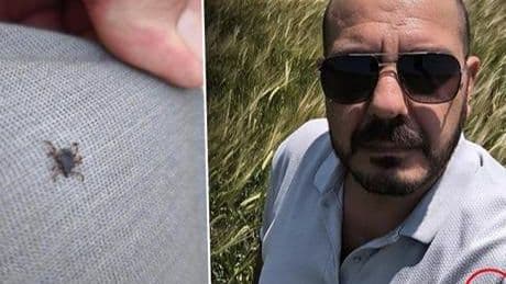 Selfie çekerken fark etti! 'Bu yıl her zamankinden fazla görünüyor'