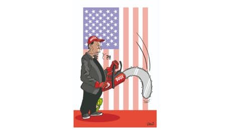 Cartooning for Peace: Elon Musk quits DOGE and leaves Washington looking for revenge