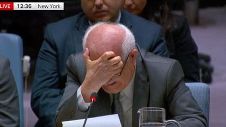 Palestinian Ambassador To UN Breaks Down In Tears Over 'Unbearable' Death Of Children In Gaza