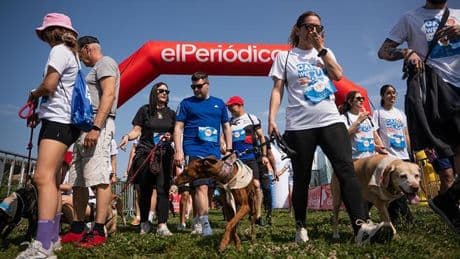 La Can We Run 2025 triunfa con más de mil participantes con sus perros