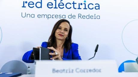 Red Eléctrica descarga toda la culpa del apagón en fallos de las eléctricas