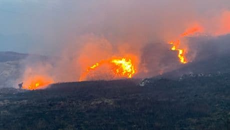 Firefighters battle wildfires in Scotland for third day amid ‘danger to life’ warning