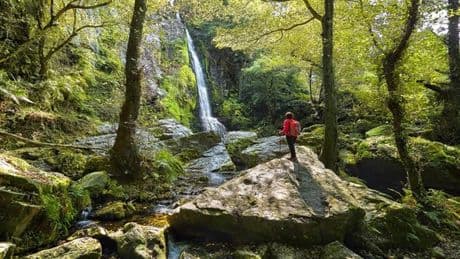 El monumento más impresionante de Asturias mide hasta 15 metros de altura y su acceso es gratuito