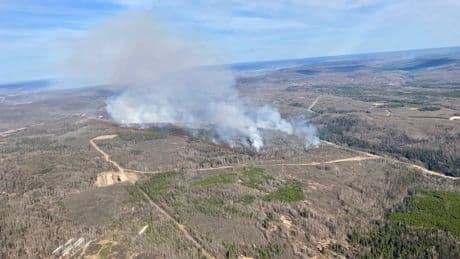 WestJet assesses operations in Fort St. John, B.C. due to wildfire burning in the area