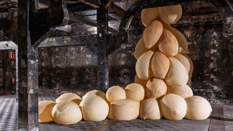 La artista Eva Fàbregas cura la cicatriz del matadero con una instalación en la antigua cámara frigorífica