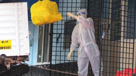 Todo lo que se sabe del Virus Nipah: síntomas, contagio y transmisión con animales