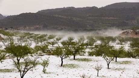 Al mal tiempo, más inseguridad alimentaria