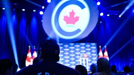 Weak NDP poses challenge for Conservatives to win in 'two-party environment': former party president