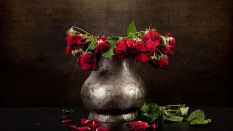 Tariffs Are Wilting Your Mother’s Day Flowers: Here’s How