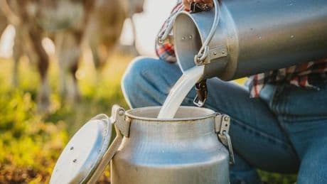 Lebensmittelchemiker verrät, warum er nie Rohmilch trinken würde