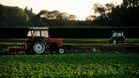 Eurostat vaticina alimentos más caros y tractoradas en el peor de los casos