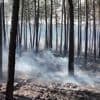 Incendie dans le Maine-et-Loire : 100 hectares sont partis en fumée