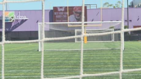 Langford pulls out of running to host World Cup training base camp citing cost