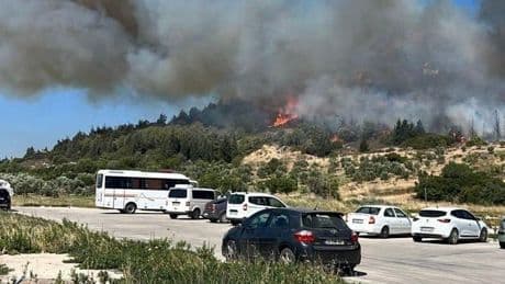 Antalya, Sakarya ve İzmir'de orman yangını: Aliağa'da bir yangın daha çıktı