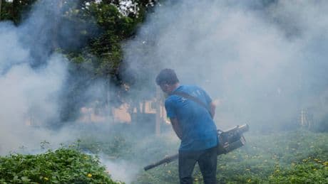 China Wages War on Chikungunya Virus With Drones and ‘Elephant Mosquitoes’