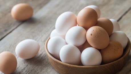 Weiße und braune Eier: Das steckt hinter der Farbgebung
