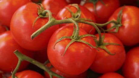 Cuáles son las propiedades curativas del tomate: así protege tu piel y tu corazón