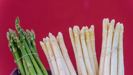 Gemüseernte: Spargelbauern bislang zufrieden mit Saison