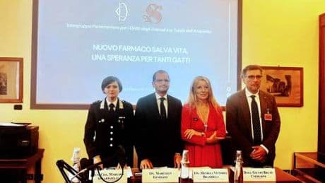 Brambilla: "Renderemo disponibile il farmaco salva-vita per i gatti"