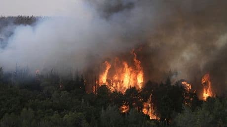 Israel wildfires send 12 people to the hospital and close key Tel Aviv-Jerusalem highway