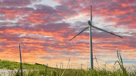 Klimaschutz: Die neue Wirtschaftsministerin muss jetzt sehr stark sein