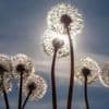 Wetterumschwung: Fast 30 Grad am Maifeiertag - Jetzt folgt Temperatursturz