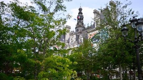 « C’est très beau le parvis de l’Hôtel-de-Ville, mais c’est du kit végétal » : les défis du développement des « forêts urbaines »