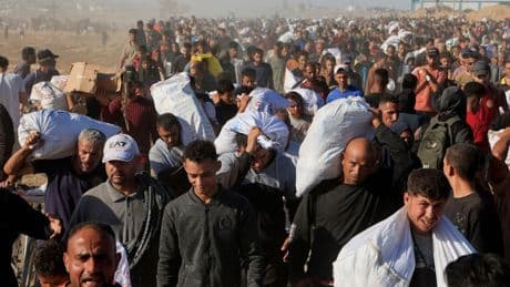 Gaza: Wo Plünderer zum Personal gehören