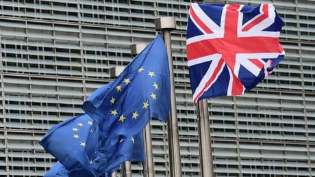 Brexit: l'UE remporte une première bataille judiciaire contre le Royaume-Uni sur les droits de pêche d'un petit poisson