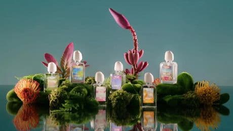Jurassic Park dei profumi: tornano le fragranze di fiori ormai estinti