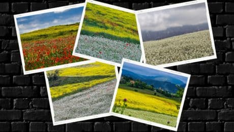 La naturaleza insuperable de Osona
