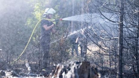 Brände: Erneut Feuer im Wald im Hochtaunuskreis