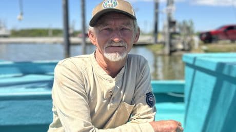 Why do shrimpers like tariffs?