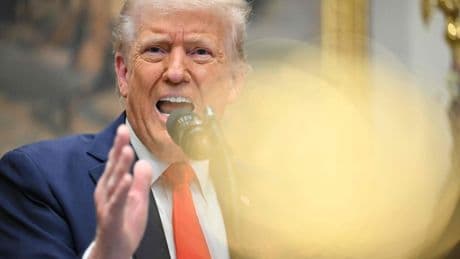 Trump verhängt Einreiseverbote für Bürger aus zwölf Ländern