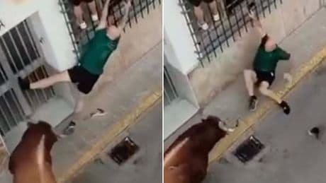 Horrifying moment thrillseeker is gored to death by a rampaging bull at Spanish festival while desperately trying to climb railings to safety