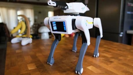 La mala experiencia de un usuario al comprar un perro robot de Temu: &quot;No hace nada de lo que promete&quot;