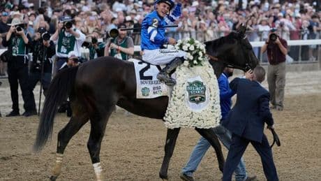 Horse Of The Year 2025: Sovereignty, Journalism, Or Fierceness?