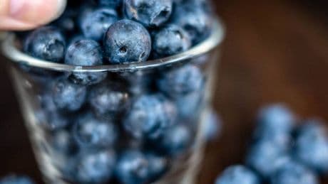 Blaubeere als Superfood: Die Heidelbeere, die Kim Kardashian des Obstkorbs