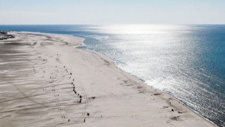 Amrum: 25 Wattwanderer aus Seenot gerettet