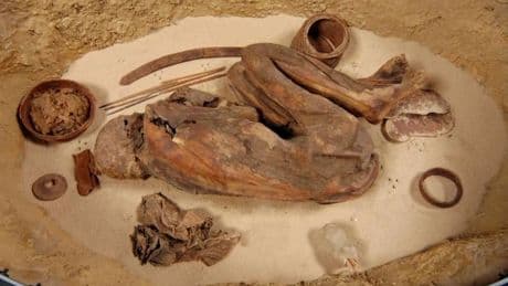 100 yılı aşkın süredir sergilenen mumyanın sırrı yeni ortaya çıktı