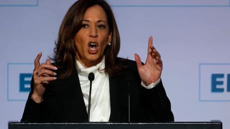 Harris accuses Trump of abandoning American ideals in first major speech after election loss